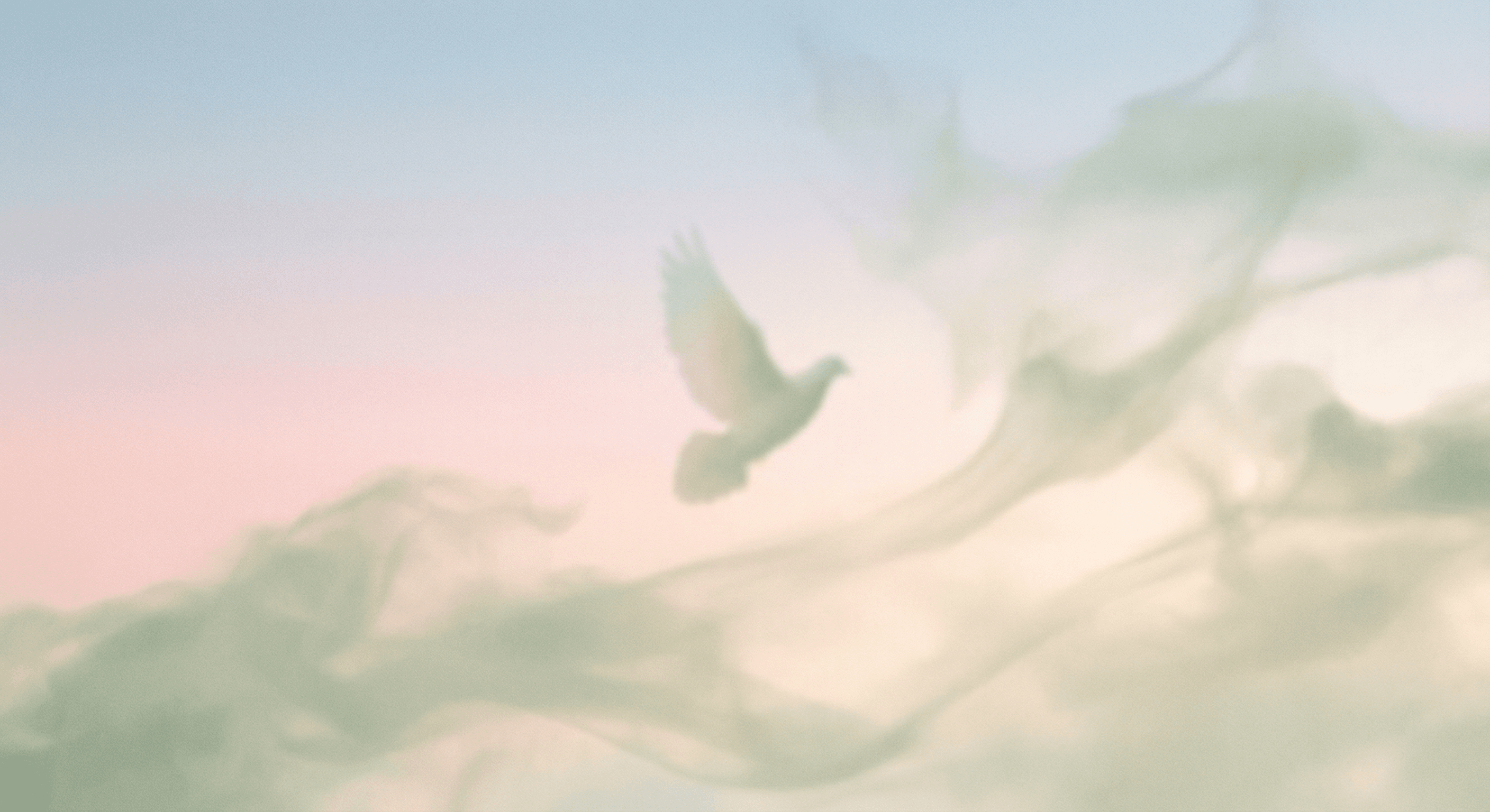 Cómo Superar el Duelo por la Pérdida de un Ser Querido